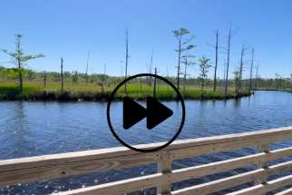 https://hagoodhomes.com/wp-content/uploads/2021/03/RS-boardwalk-1.png
